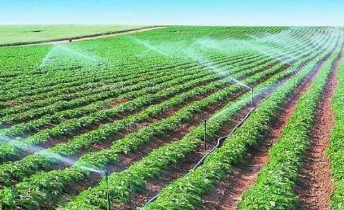 欧亚免费性交视频农田高 效节水灌溉
